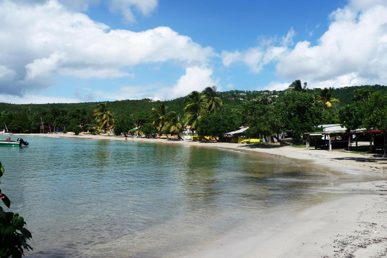 Bungalow Proche Plage سانت لوسي المظهر الخارجي الصورة